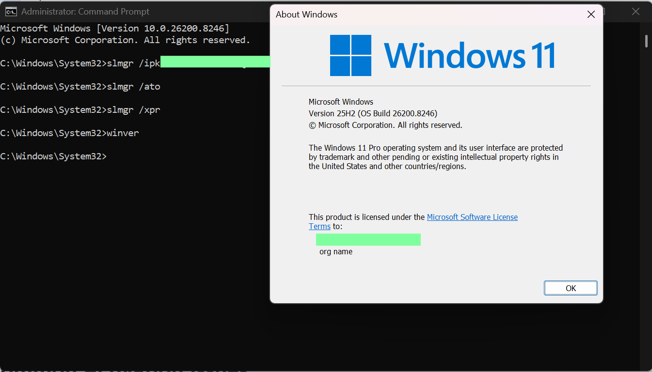 Windows Edition in Activation Page screenshot